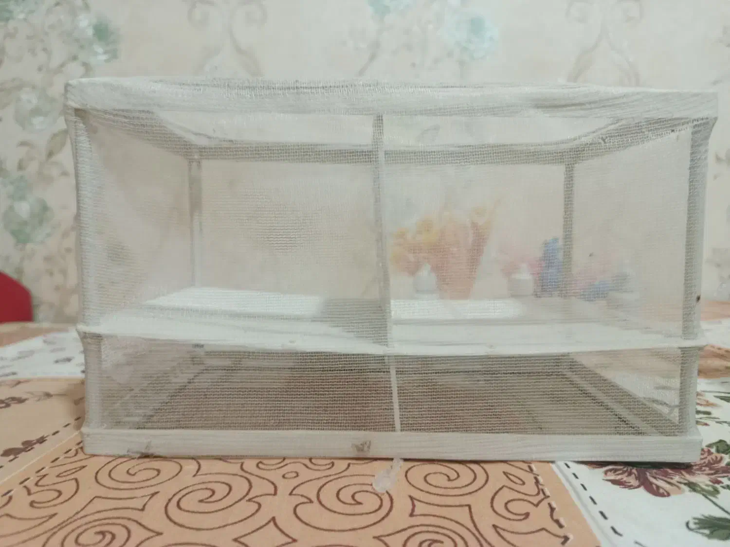 آکواریوم و زایشگاه و گل|ماهی|ملایر, |دیوار