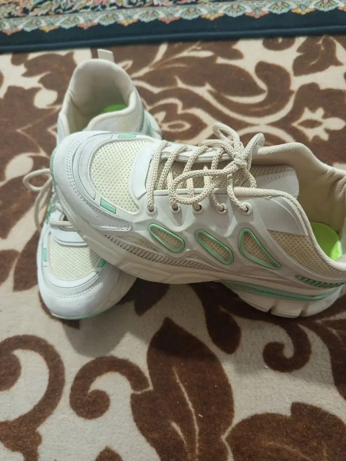 کفش شیک|کیف، کفش، کمربند|شیراز, پودنک|دیوار