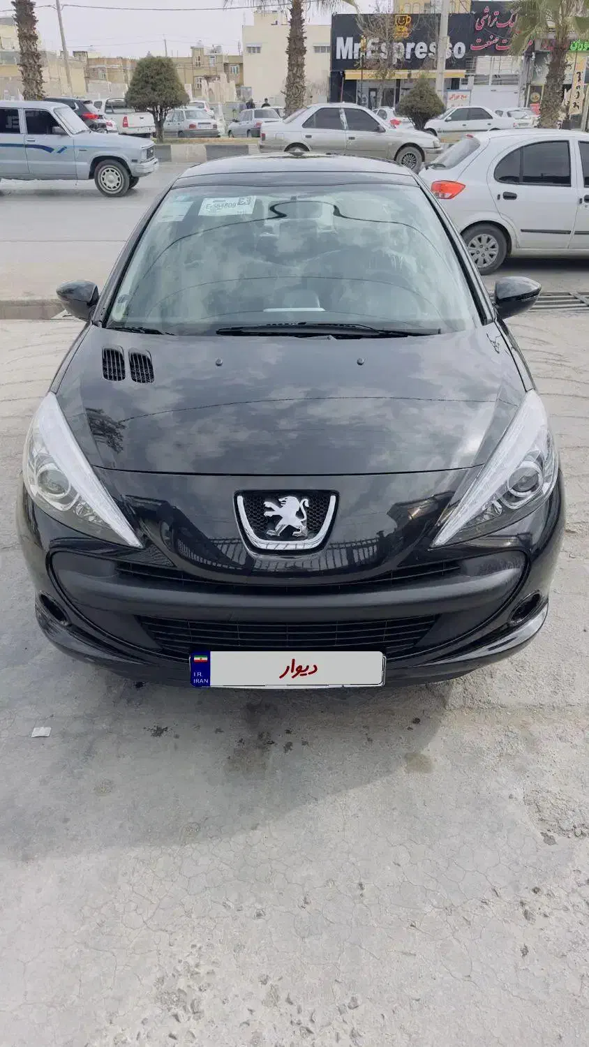 207پانوراما401|خودرو سواری و وانت|مرودشت, ژیان|دیوار