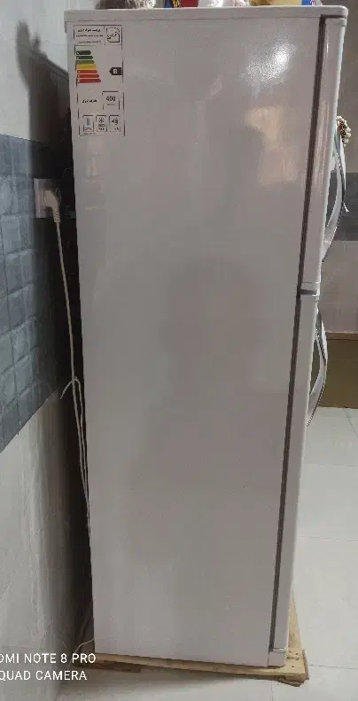 فروش یخچال فلور|یخچال و فریزر|لامرد, |دیوار