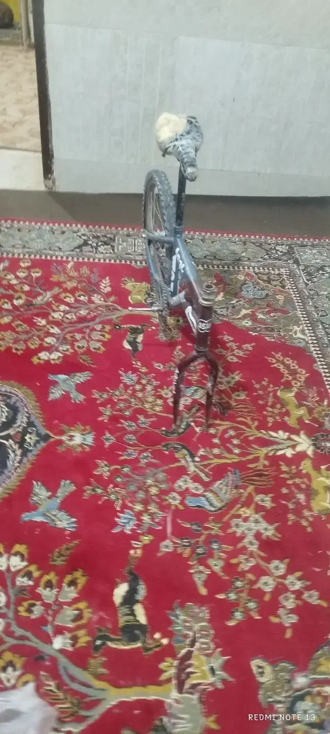 دوچرخه 20 به روش میرسد|دوچرخه، اسکیت، اسکوتر|کرباسک, |دیوار