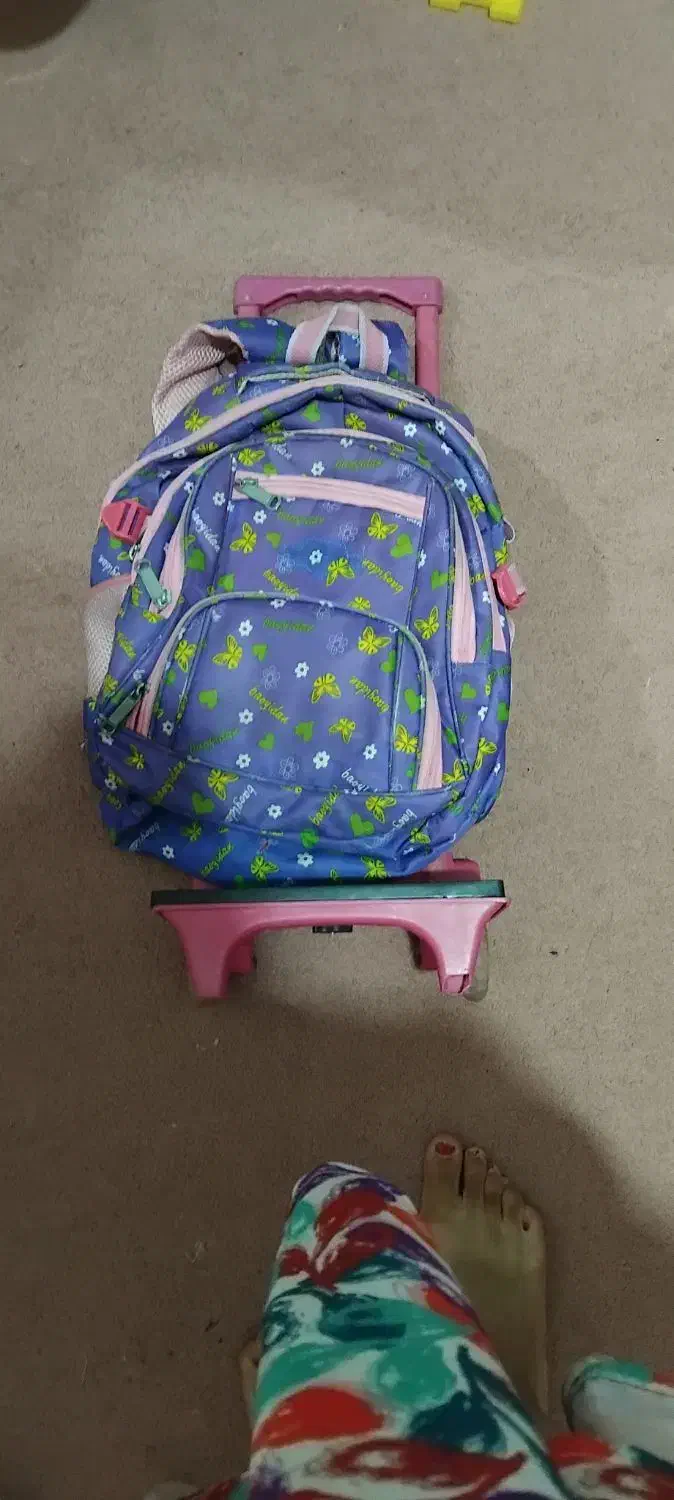 کیف مدرسه|کیف، کفش، کمربند|کازرون, |دیوار