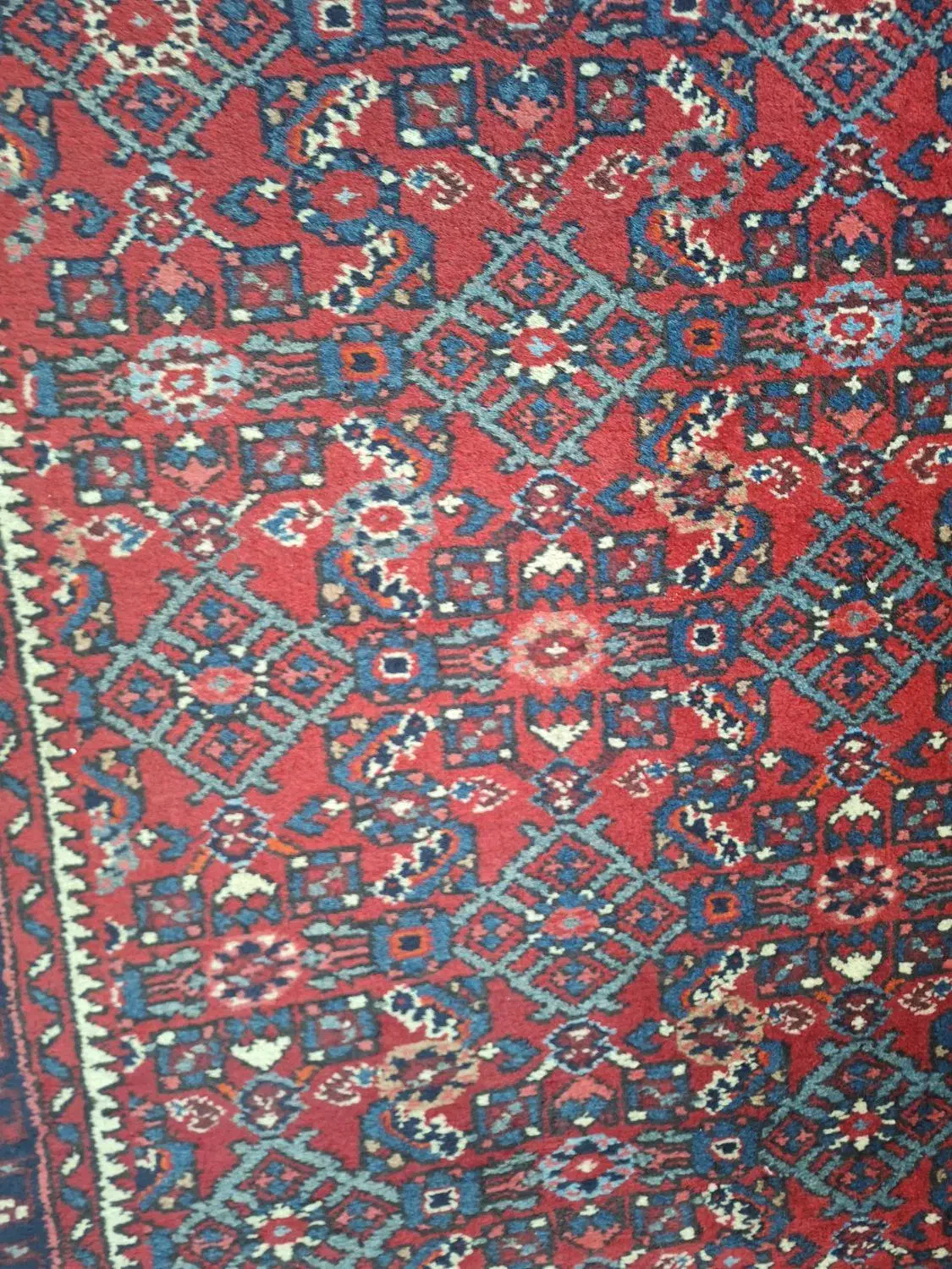 فرش دستباف انتیک|فرش|تهران, جنتآباد شمالی|دیوار