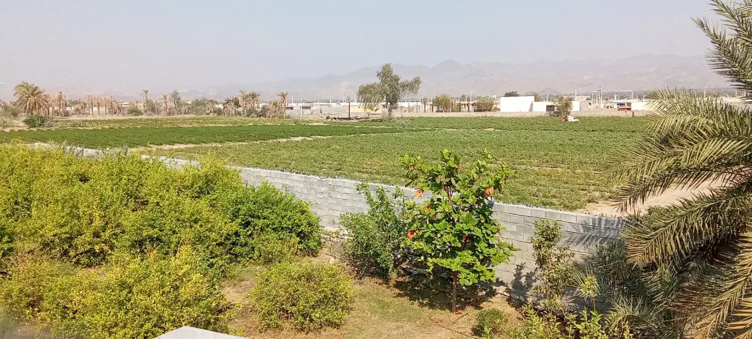 اجاره روزانه سوئیت ( اتاق مسافر)|اجارهٔ کوتاه‌مدت آپارتمان و سوئیت|رودان, |دیوار