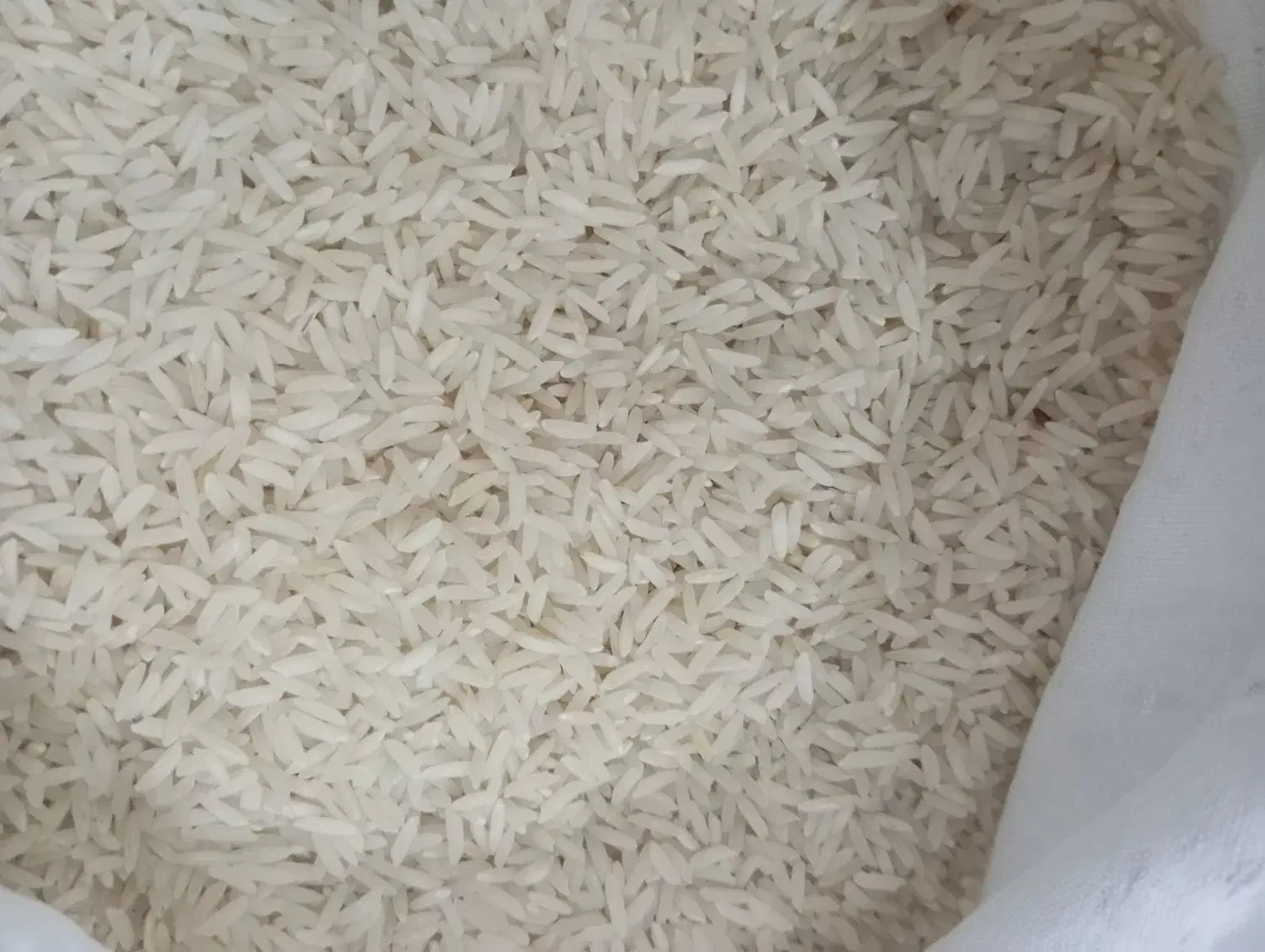 هاشمی بینام کشت دوم|خوردنی و آشامیدنی|اسکو, |دیوار