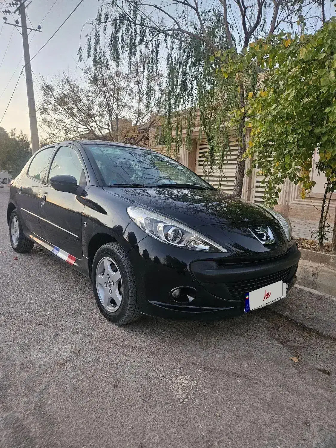 ۲۰۷ پانامدل۴۰۲ارتقا|خودرو سواری و وانت|پاسارگاد, |دیوار