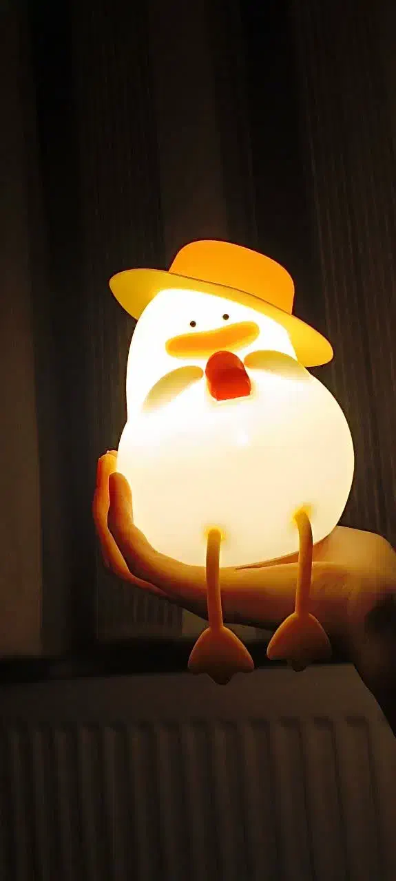 شب خواب اردک|چراغ خواب و آباژور|خرم‌آباد, |دیوار