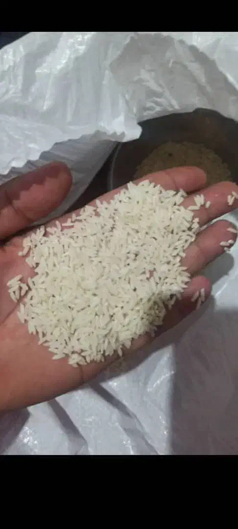 برنج هاشمی ۱۴۰۴ ارگانیک درجه یک با آب چشمه|خوردنی و آشامیدنی|نسیم‌شهر, |دیوار