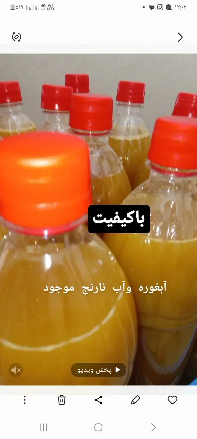 آبغوره و آب نارنج وترش واش|خوردنی و آشامیدنی|لنگرود, |دیوار