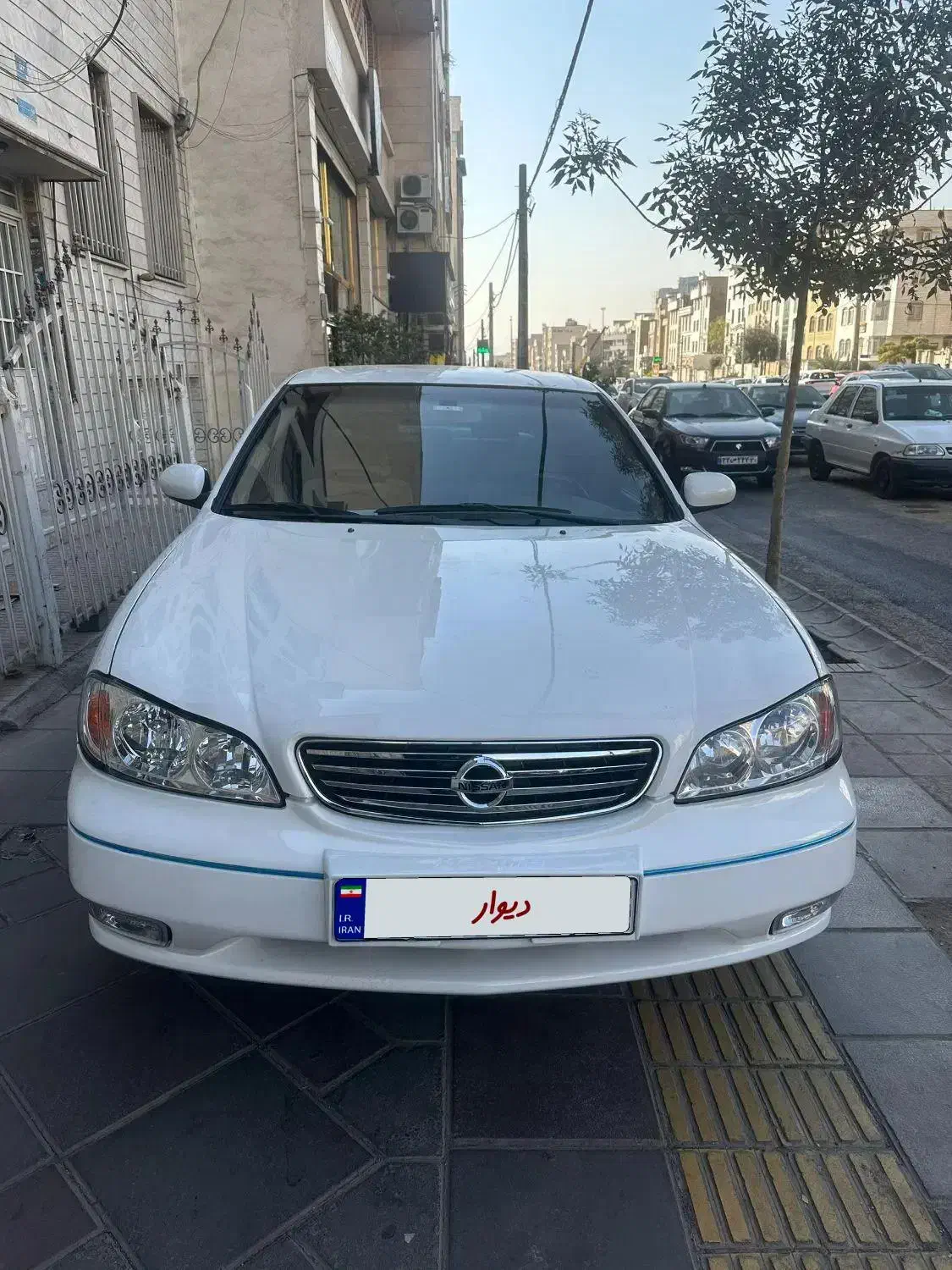 ماکسیما مدل ۸۷ بی رنگ و بدون خط و خش|خودرو سواری و وانت|نور, |دیوار