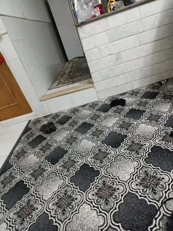 خونه اجاره ای|اجارهٔ خانه و ویلا|قم, هفت تیر|دیوار