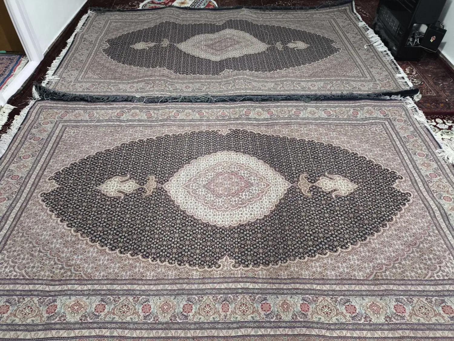 فرش ریز ماهی 6متری بی جار|فرش|اردبیل, |دیوار