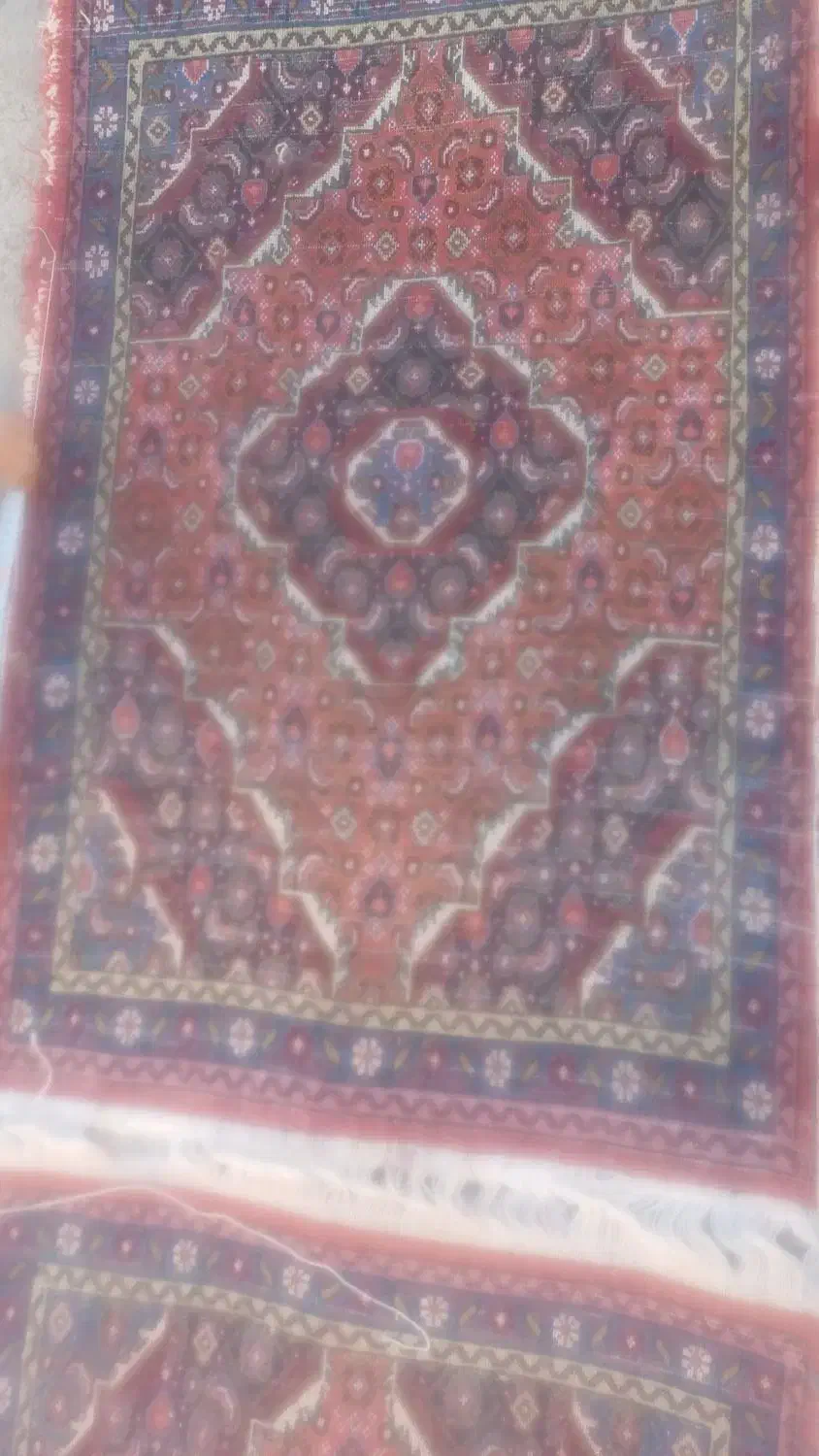 فرش دست بافت|فرش|اردبیل, |دیوار