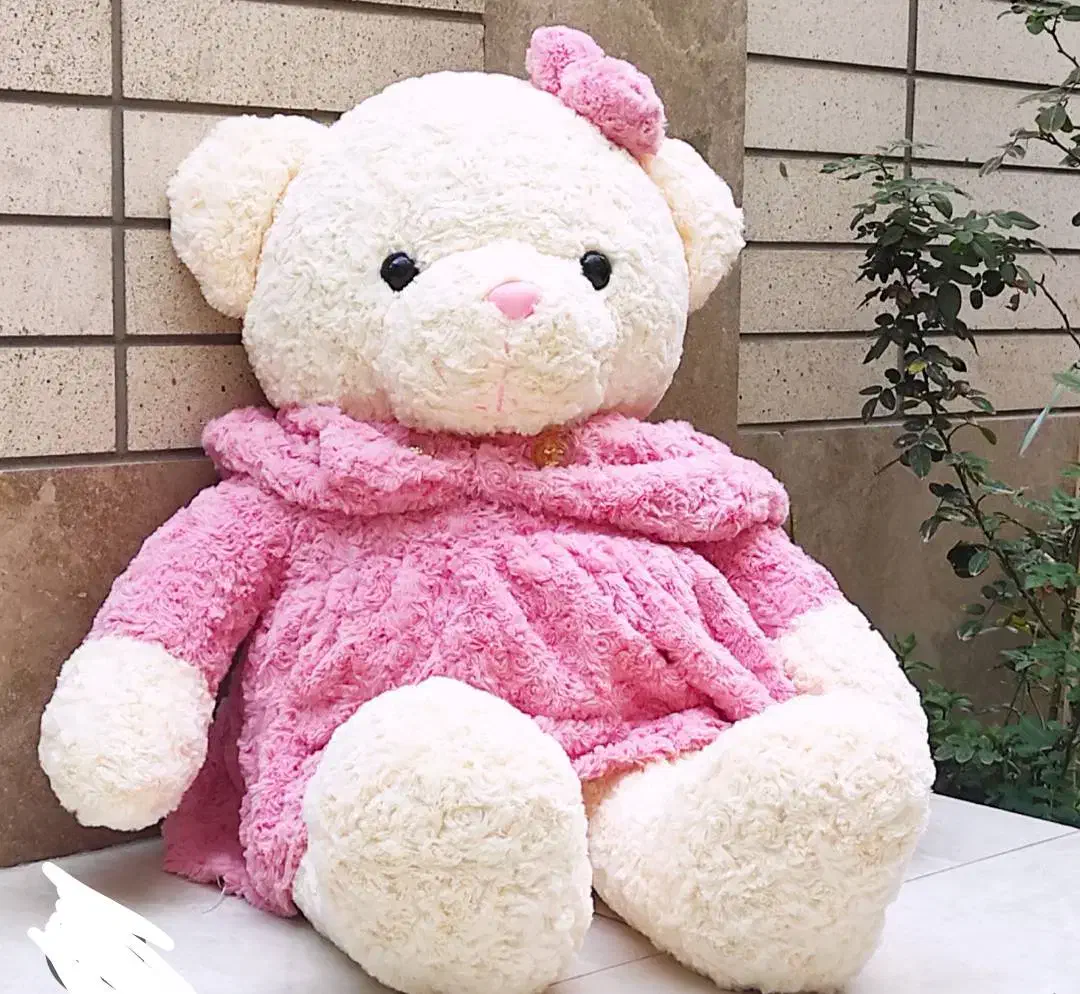 عروسک|اسباب‌‌بازی|رشت, توشیبا|دیوار