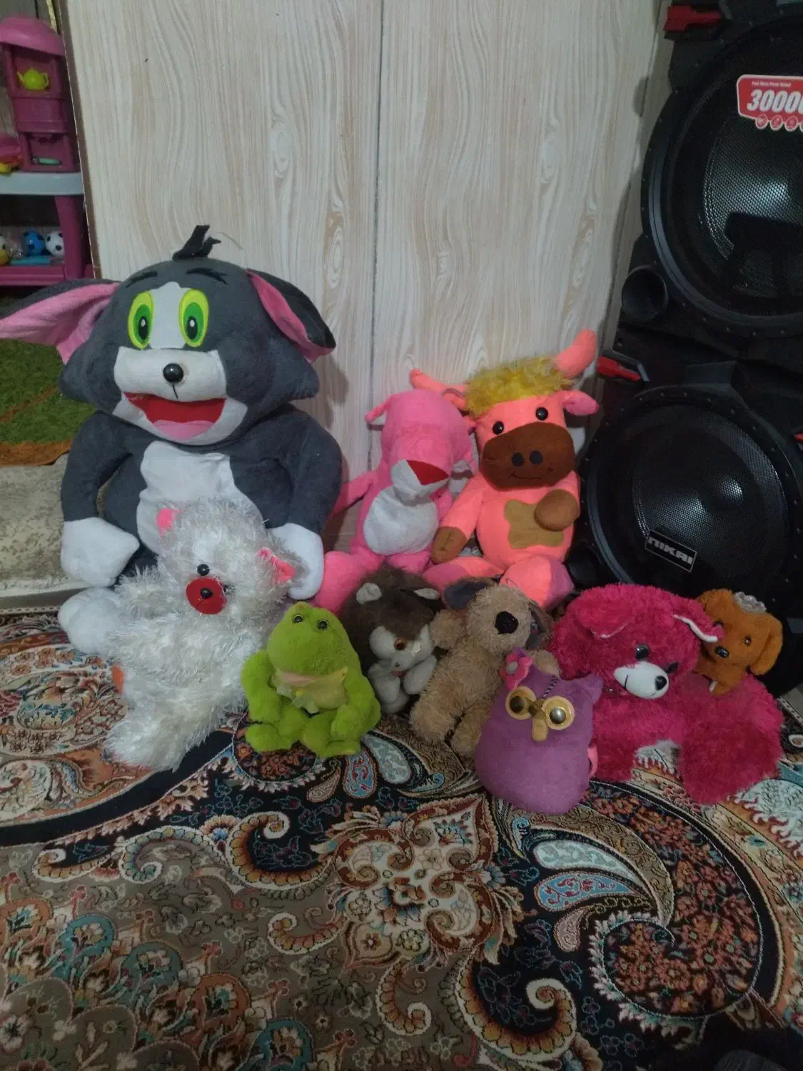 عروسک|اسباب‌‌بازی|قم, دانش|دیوار