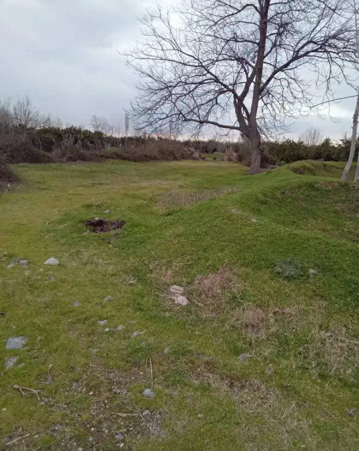 زمین با مجوز مرغداری|فروش زمین و ملک کلنگی|نوکنده, |دیوار