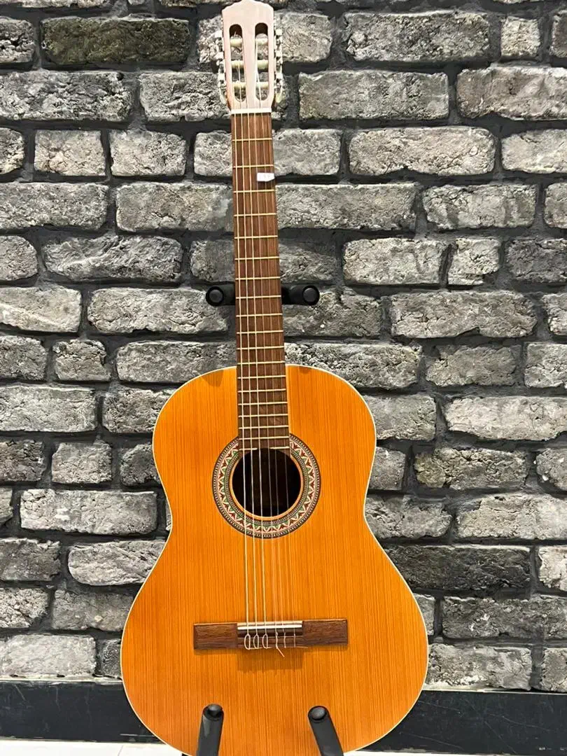 گیتار دیاموند|گیتار، بیس، امپلیفایر|نیشابور, فردوس شمالی|دیوار