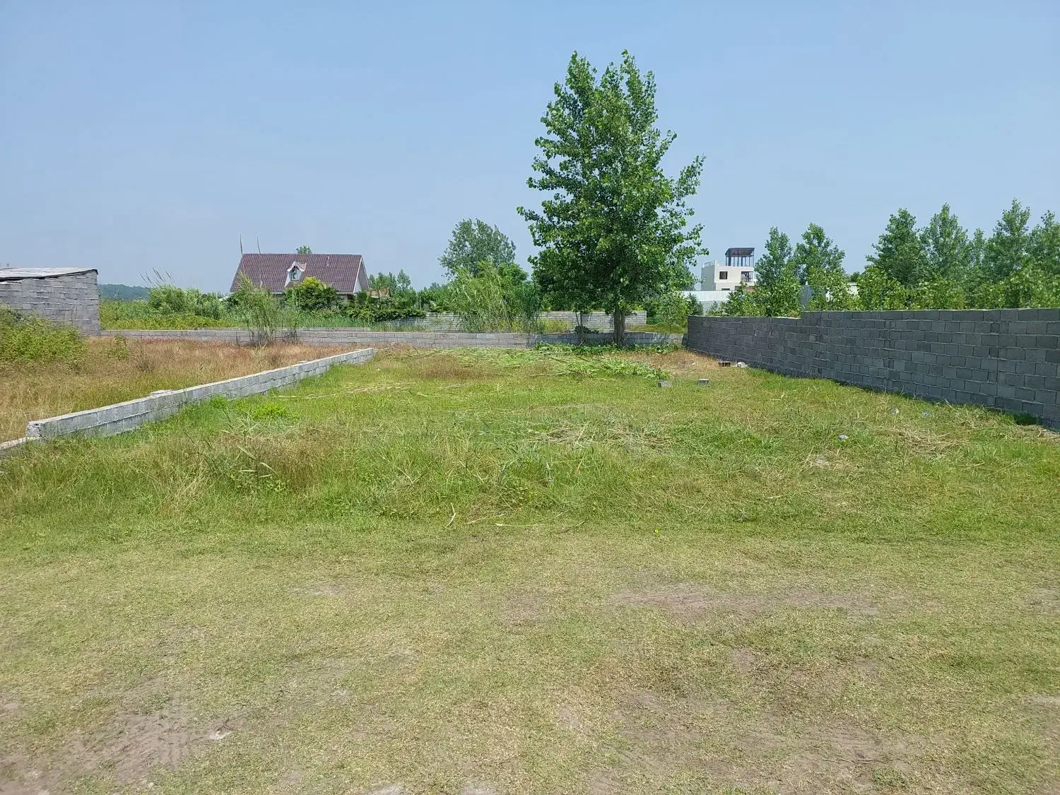 زمین ۲۶۷ متری روبروی طرح ساحلی داخل بافت|فروش زمین و ملک کلنگی|چاف و چمخاله, |دیوار