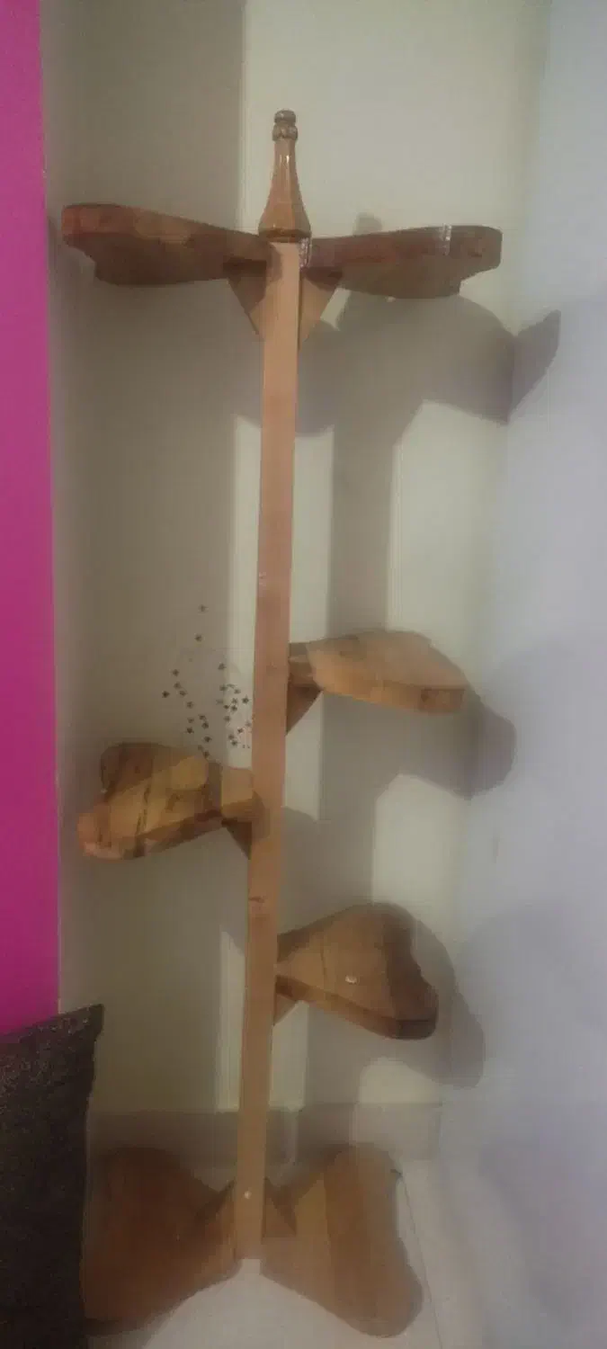 استند چوب جنگلی|کتابخانه، شلف، قفسههای دیواری|تبریز, |دیوار