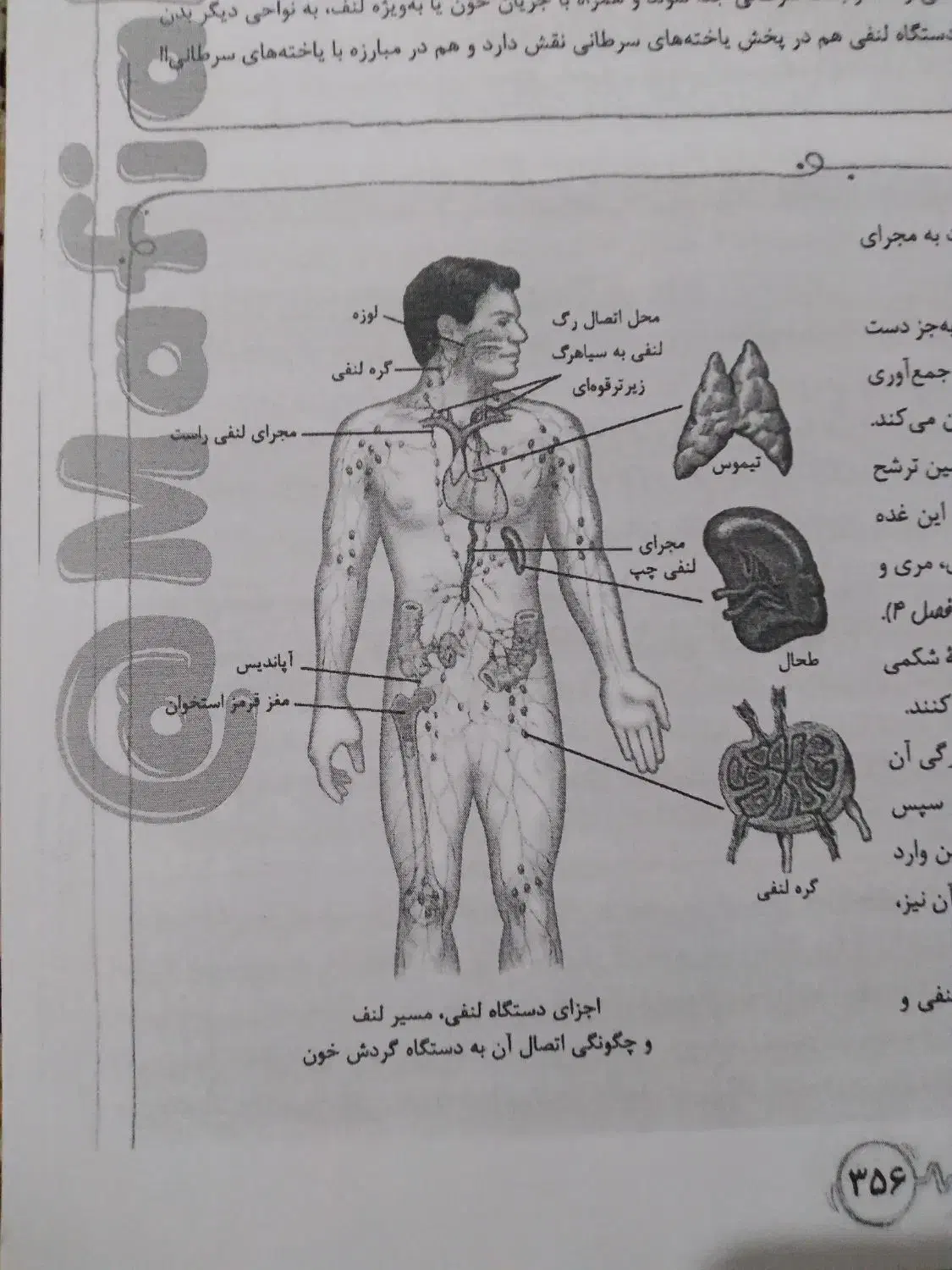 کتاب تست نشرالگو دهم فیزیک|کتاب و مجله آموزشی|قم, نیروگاه|دیوار