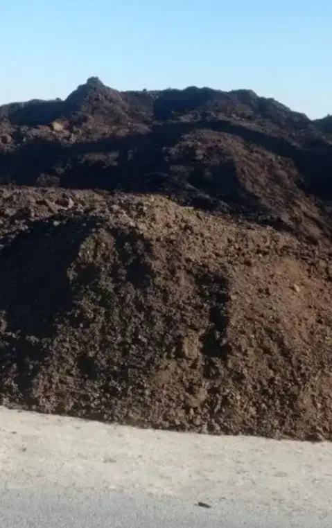 کود گوسفندی رایگان|گل و گیاه طبیعی|تایباد, |دیوار