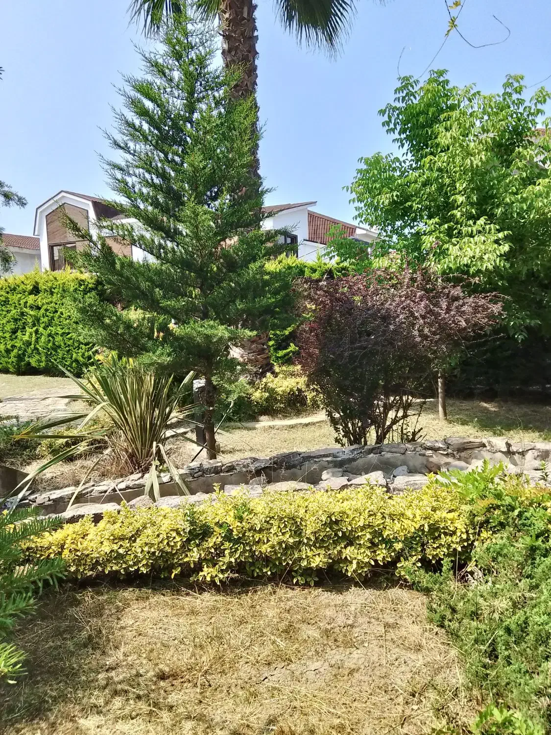 نگهداری و طراحی و اجرا فضای سبزـخدمات باغبانی|خدمات باغبانی و درختکاری|فریدون‌کنار, |دیوار