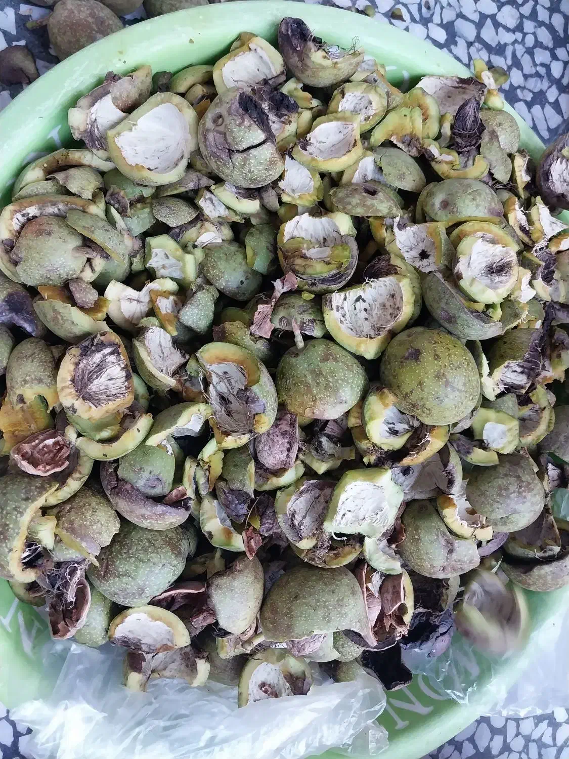 پوست گردو|خوردنی و آشامیدنی|شیراز, شهرک بهار|دیوار