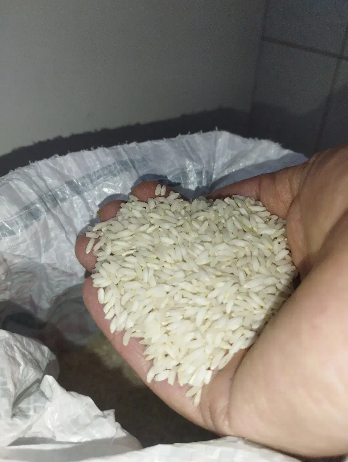 برنج عنبر بو عزیزان درجه 1به شرط بو وپخت|خوردنی و آشامیدنی|محمدشهر, محمدشهر|دیوار