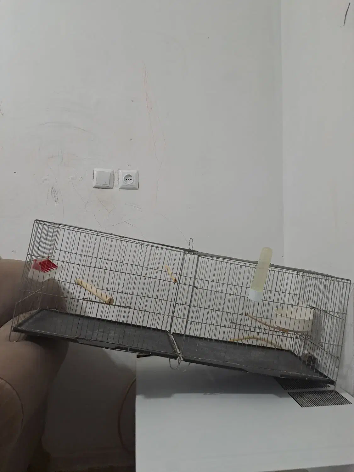 مرغ گلین لری اصیل وتعدادی قفس|حیوانات مزرعه|پلنگ آباد, |دیوار