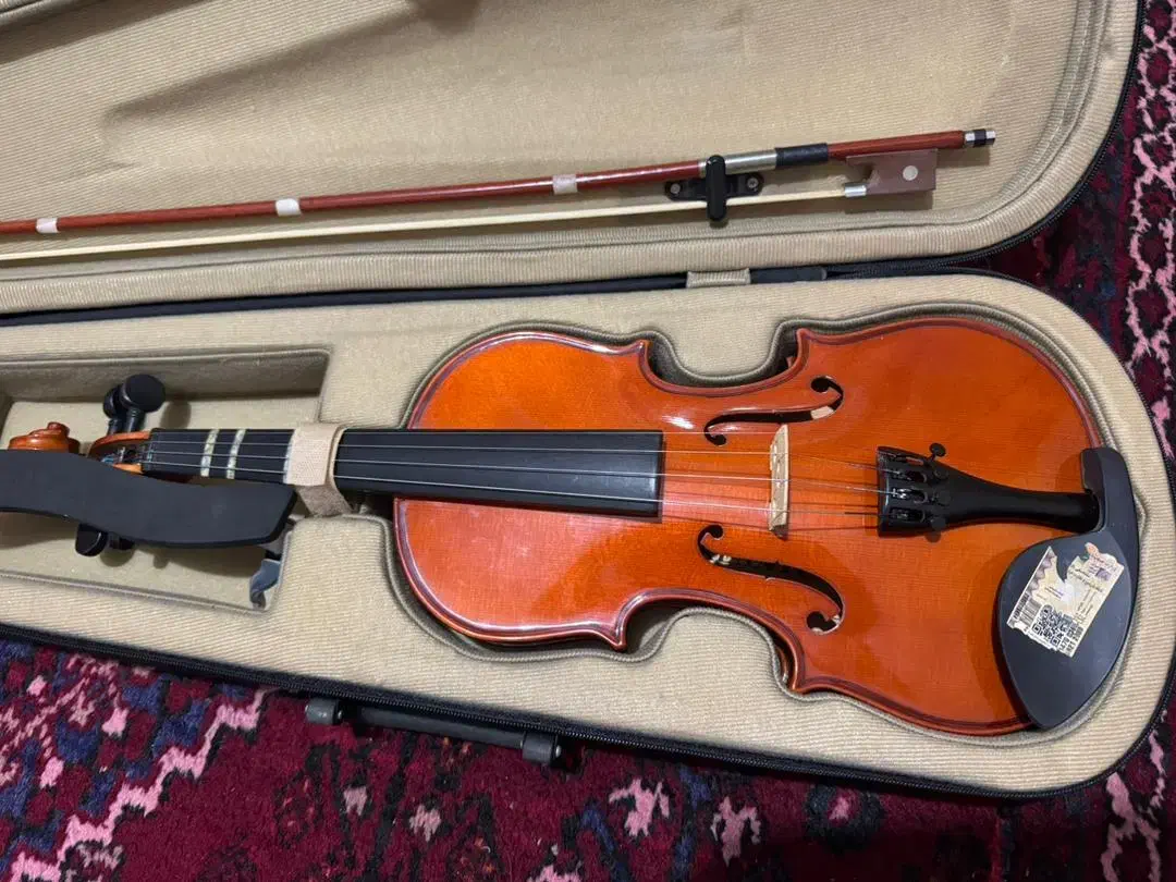 ویالن رناتو|ویولن|گلستان (تهران), |دیوار