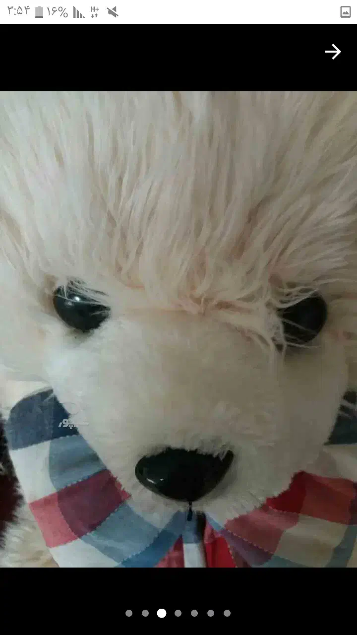 خرس بزرگ ۱متری|اسباب‌‌بازی|ساری, |دیوار