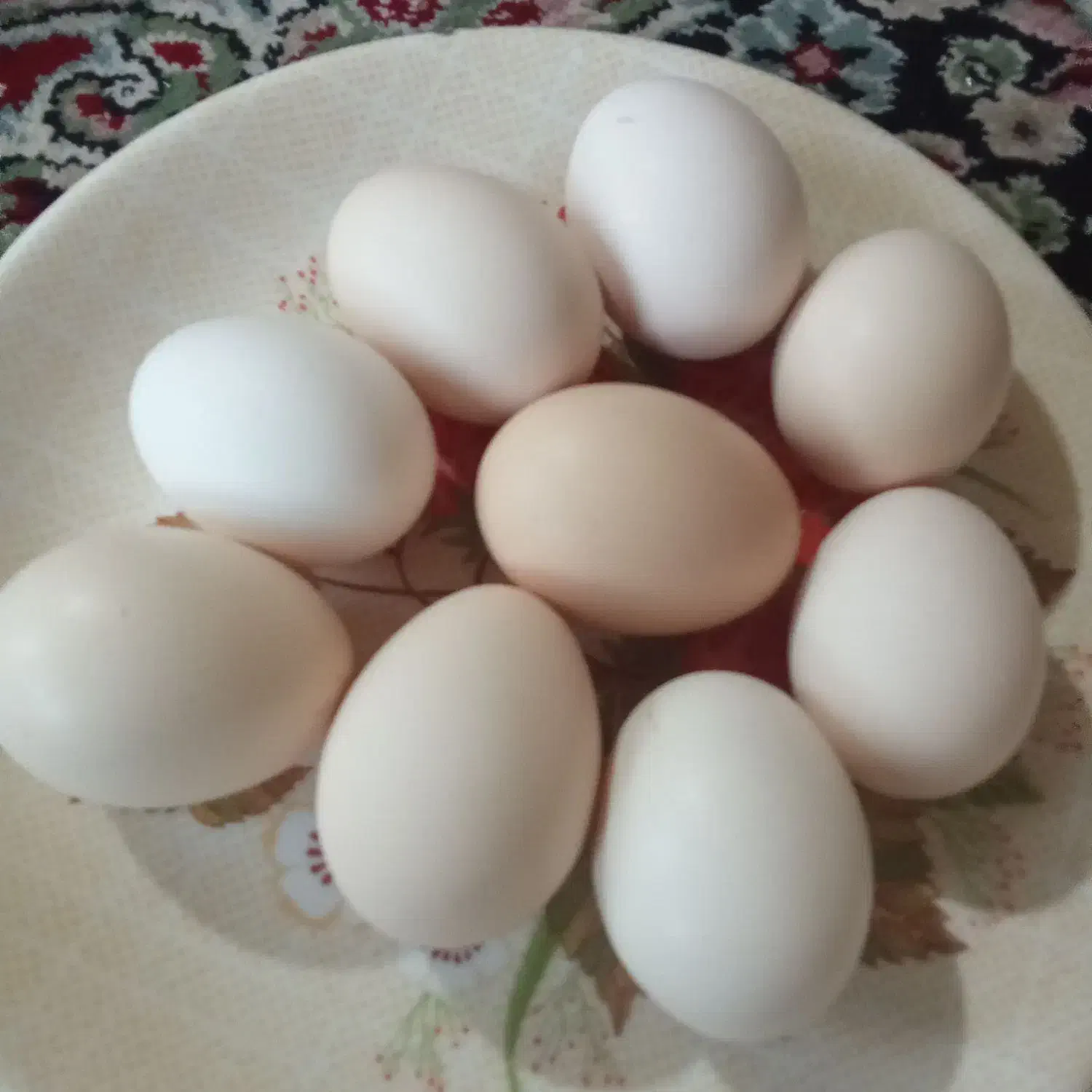 تخممرغ محلی|خوردنی و آشامیدنی|رفسنجان, |دیوار