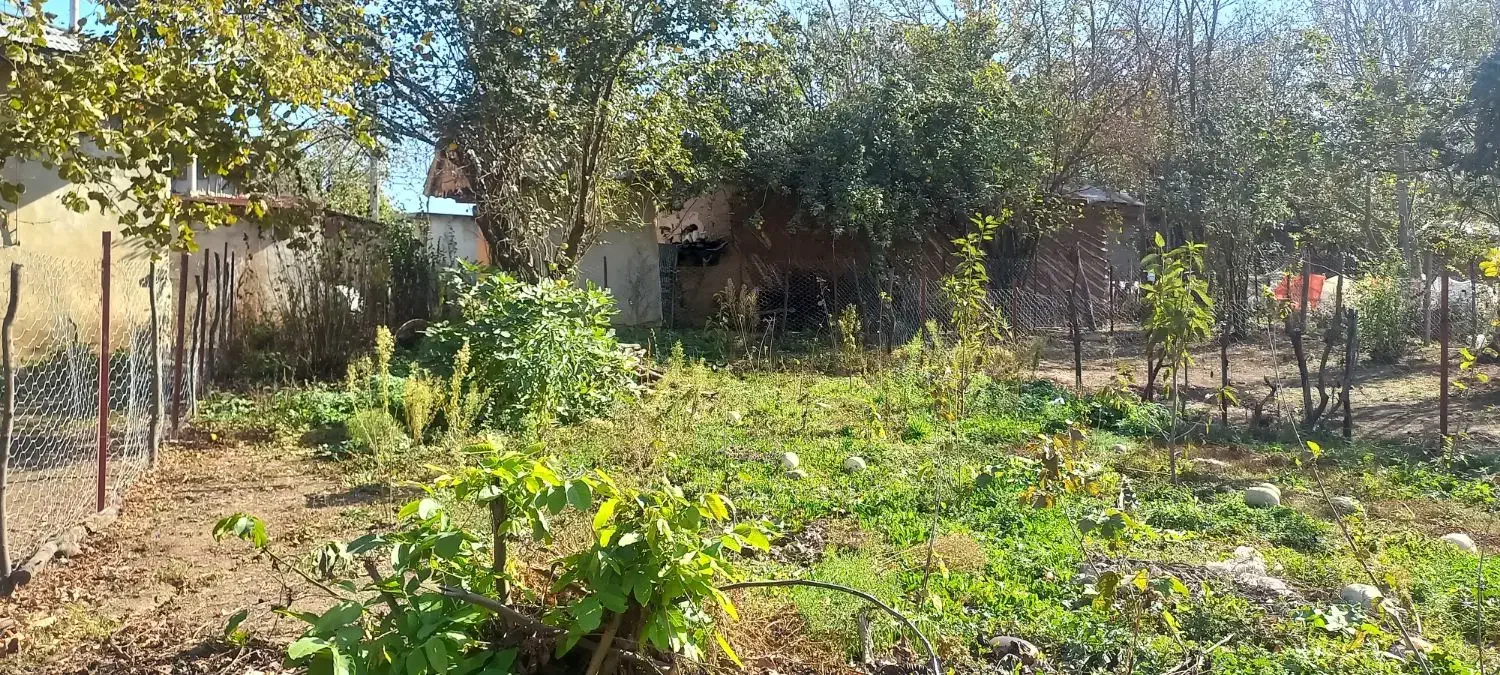 ۲۰۰متر زمین واقع در روستای چهارمحل|فروش زمین و ملک کلنگی|برهسر, |دیوار