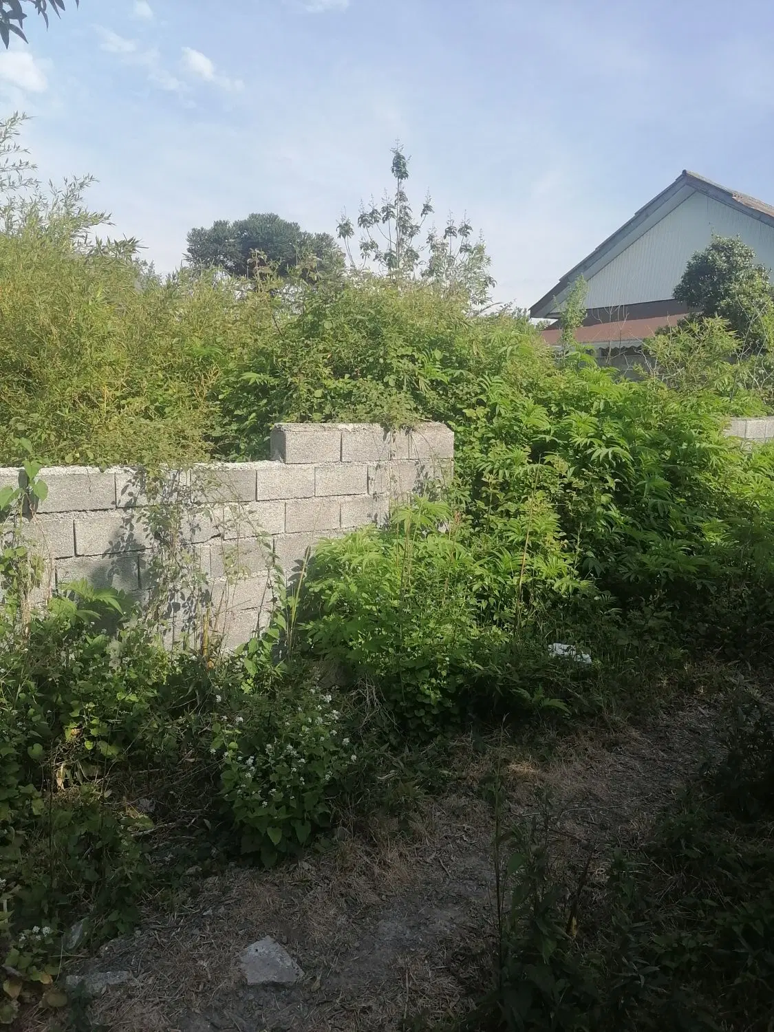 تصویر 5