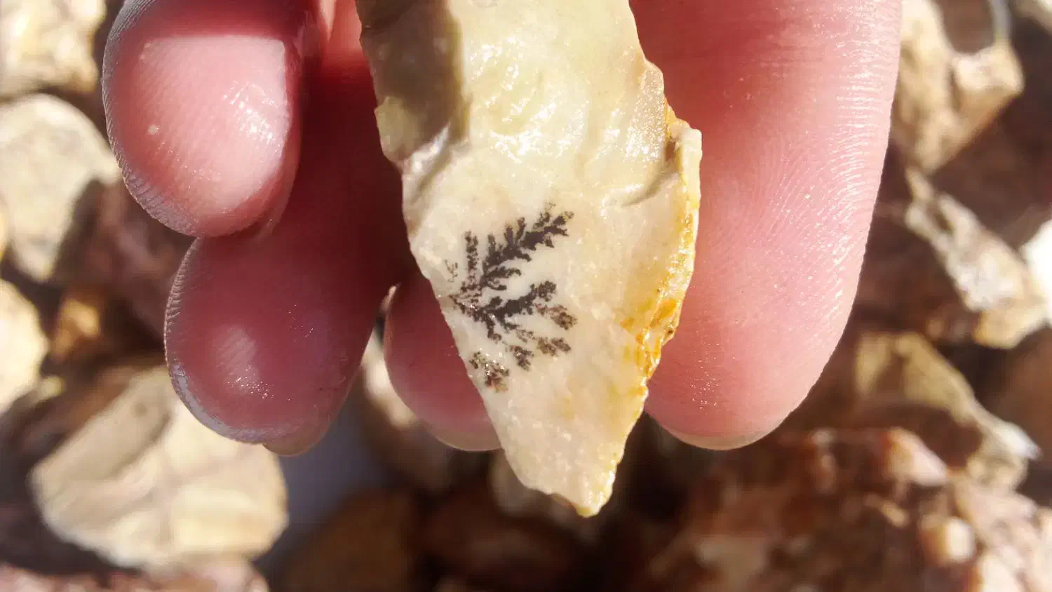 عقیق شجر جاسپر|جواهرات|اردبیل, |دیوار