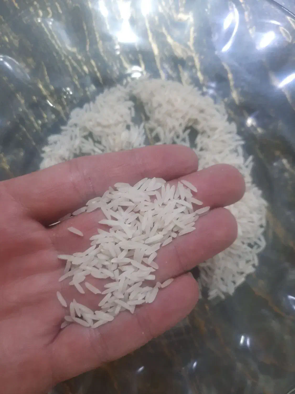 برنج محلی مینودشت|خوردنی و آشامیدنی|مشهد, مشکینی (شهرک غرب)|دیوار