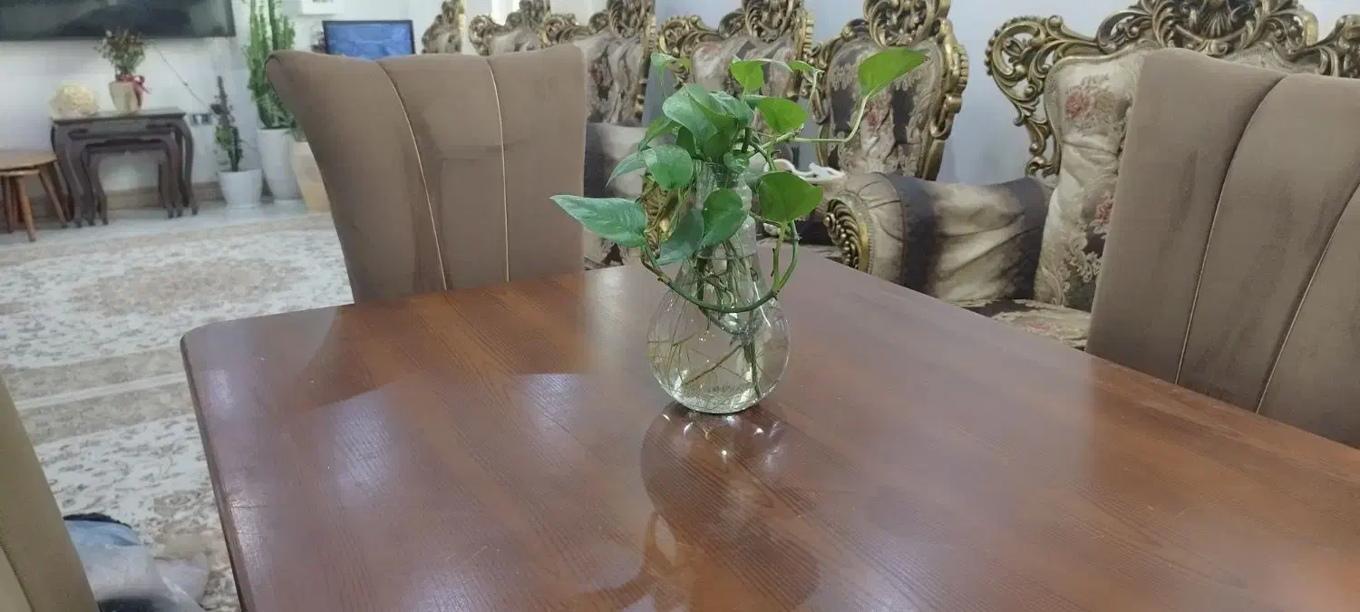 میز ناهارخوری ۴ نفره|میز و صندلی غذاخوری|ماسال, |دیوار