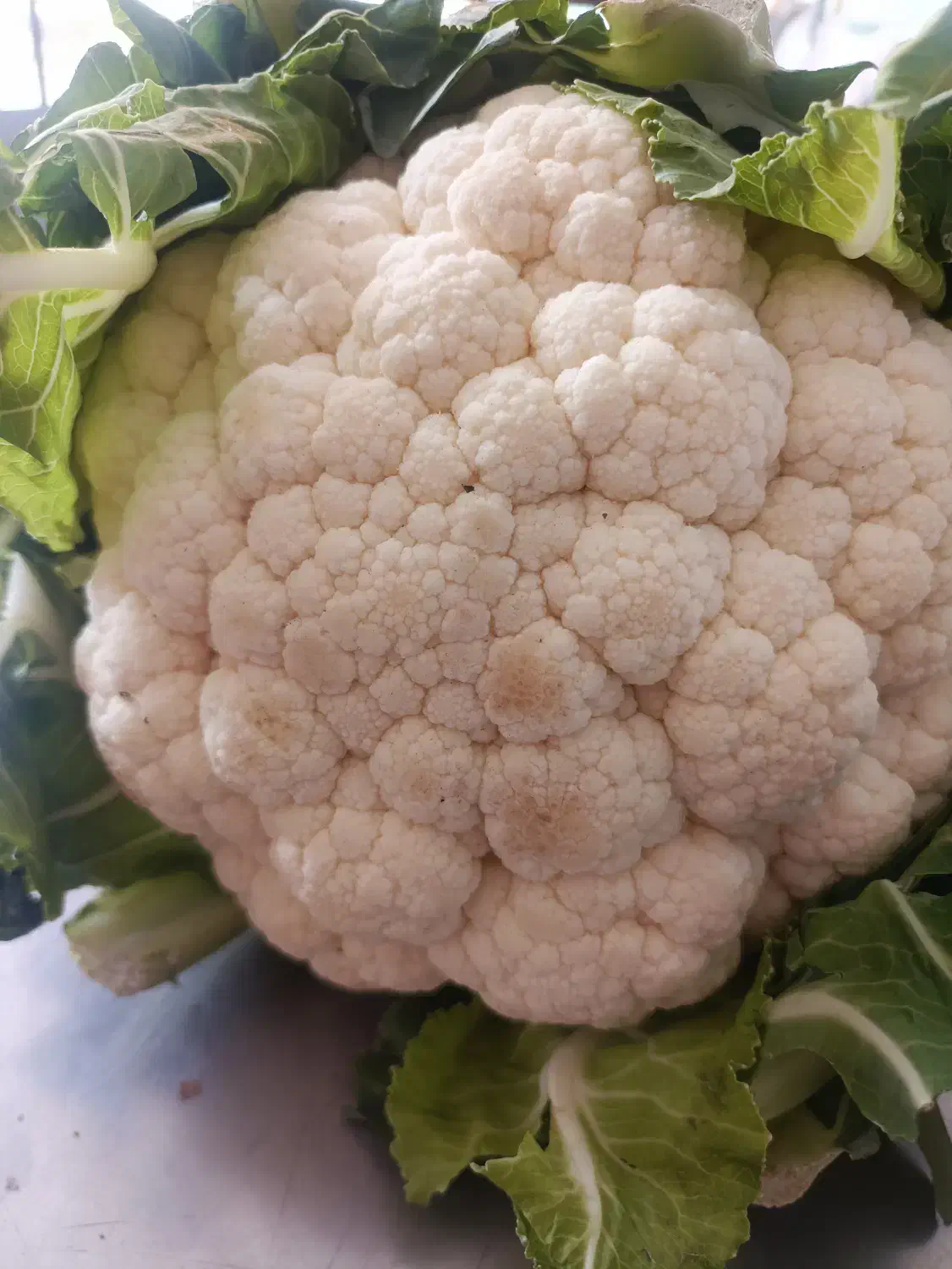 نیازمند شاگرد میوه بازنشسته آقا یا خانم خانه دار|استخدام خدمات فروشگاه و رستوران|اصفهان, صدف|دیوار