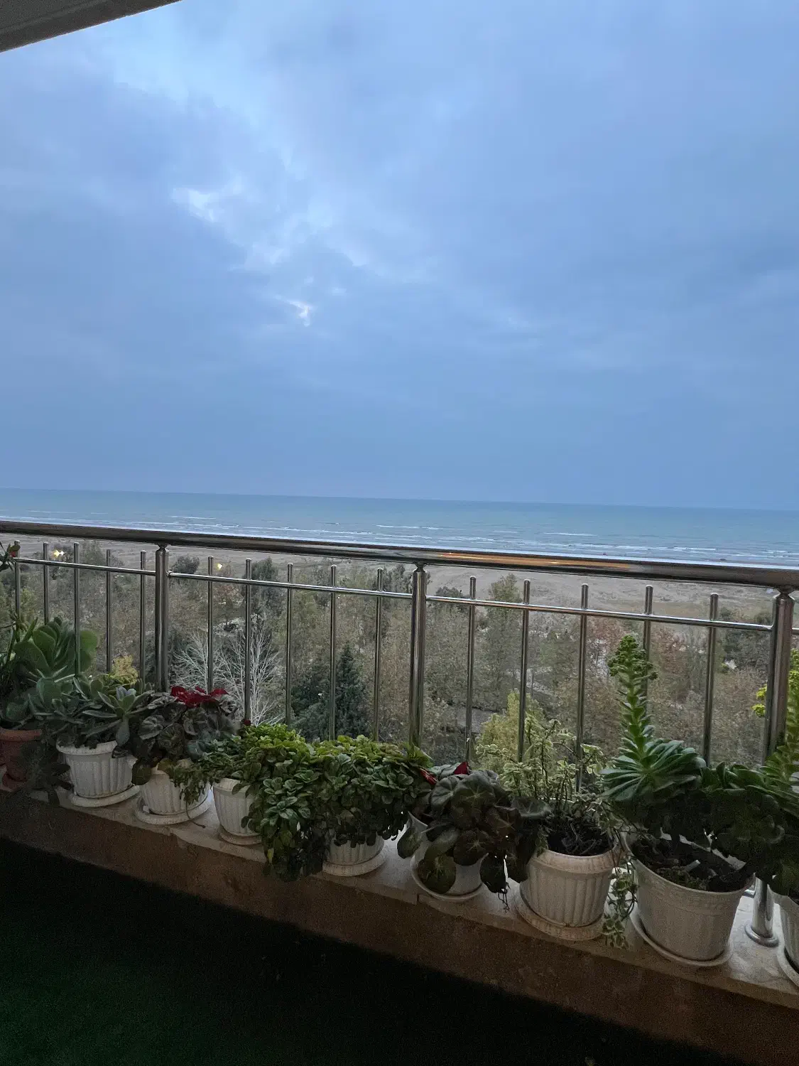 رهن آپارتمان ساحلی ویو دریا غرق نورگیر|اجارهٔ آپارتمان|فریدون‌کنار, |دیوار