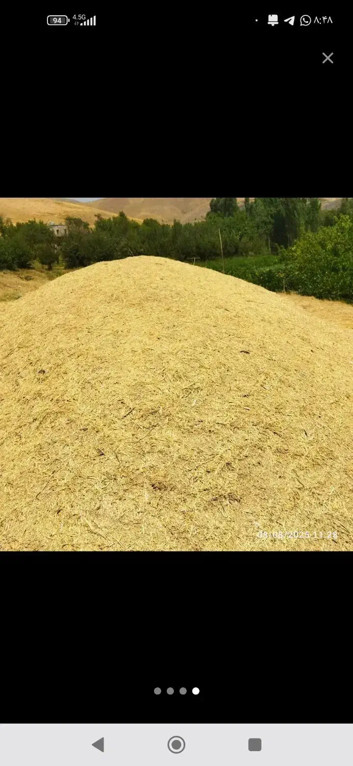 معامله کاه وعلوفه به صورت عمده|عمدهفروشی|دیواندره, |دیوار