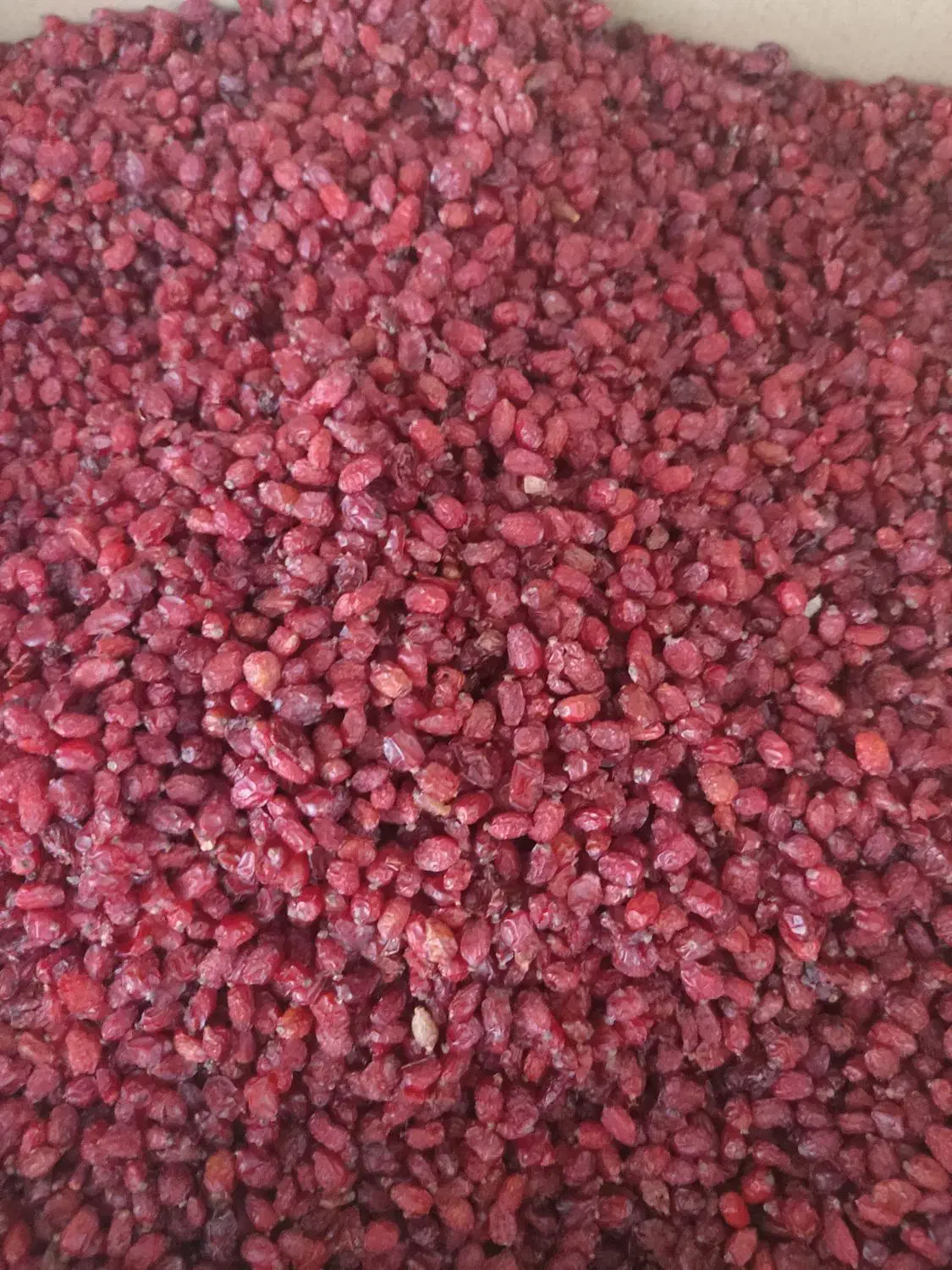 زرشک پفکی بیرجند درجه یک خرده به قیمت عمده|خوردنی و آشامیدنی|شیراز, کفترک|دیوار