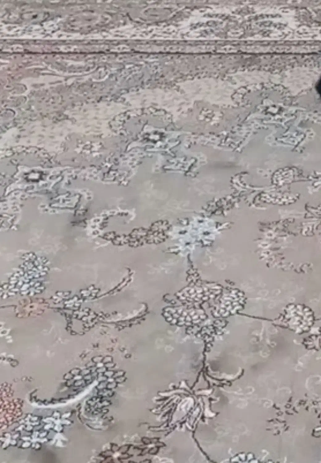 فرش ۱۲ متری|فرش|ارومیه, |دیوار