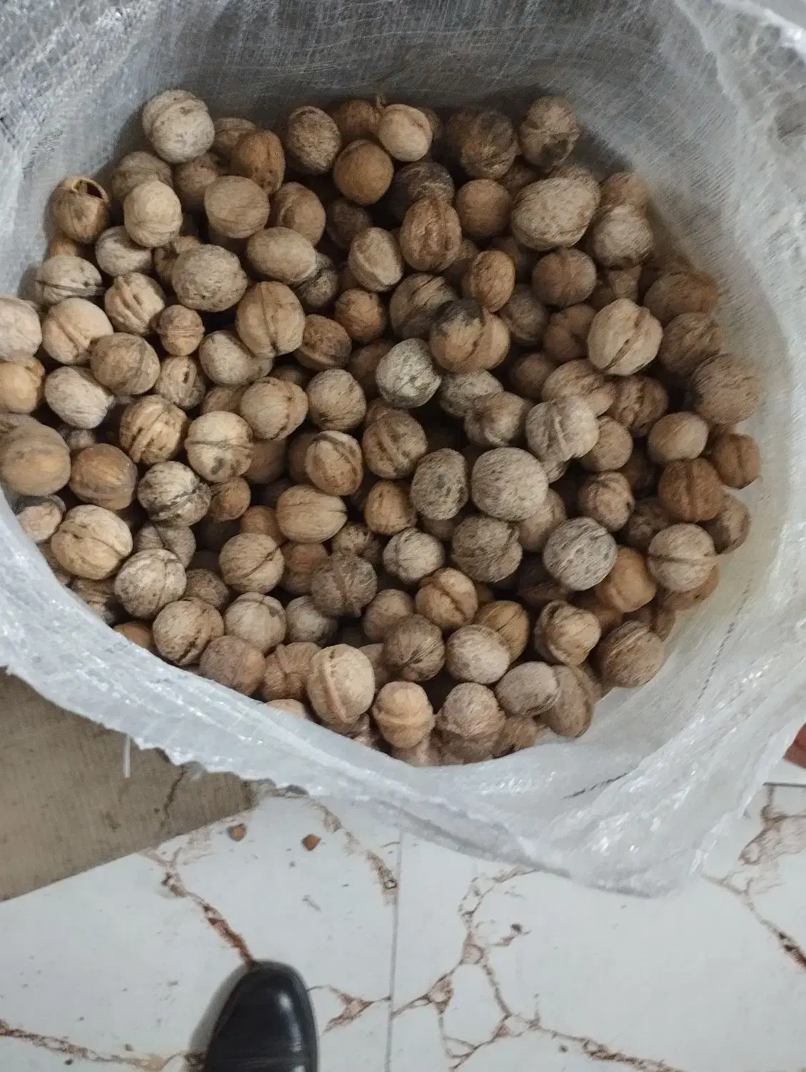 گردو تویسرکان|خوردنی و آشامیدنی|رباط‌کریم, رباط‌کریم|دیوار