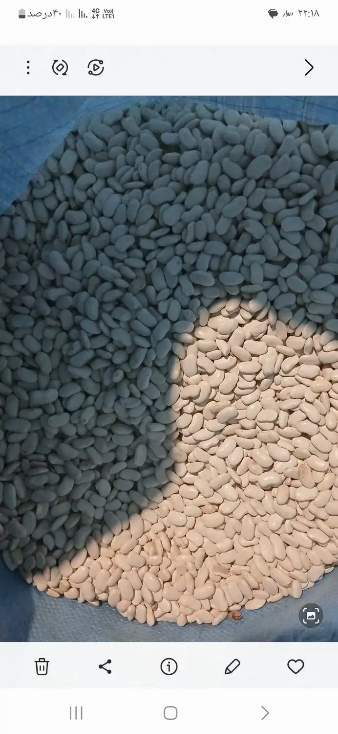 لوبیا سفید|عمده‌فروشی|اردبیل, |دیوار