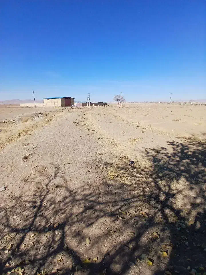 زمین|فروش زمین و ملک کلنگی|درگزین, |دیوار