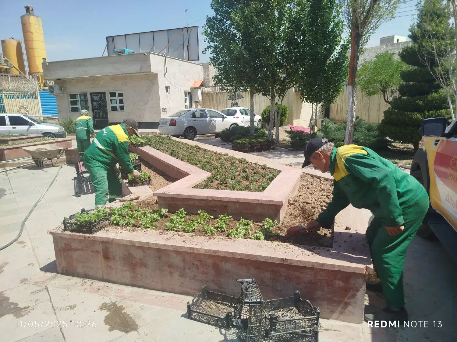 متخصص هرس درختان میوه و درختان خیابان|خدمات باغبانی و درختکاری|اسلامشهر, صادقیه|دیوار