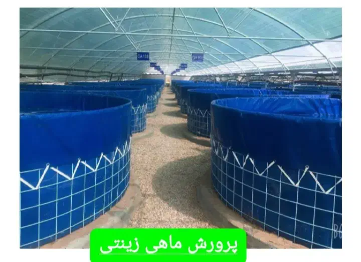 سرمایهگذاری در تولید ماهی زینتی|استخدام مالی، حسابداری، حقوقی|تیران, |دیوار