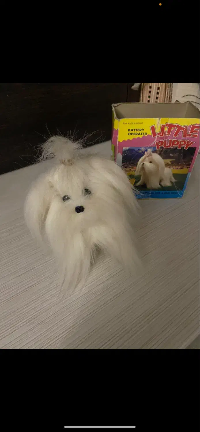 اسباب بازی زیبا ارزون میفروشم به مناسبت یلدا|اسباب‌بازی بچه|تبریز, |دیوار