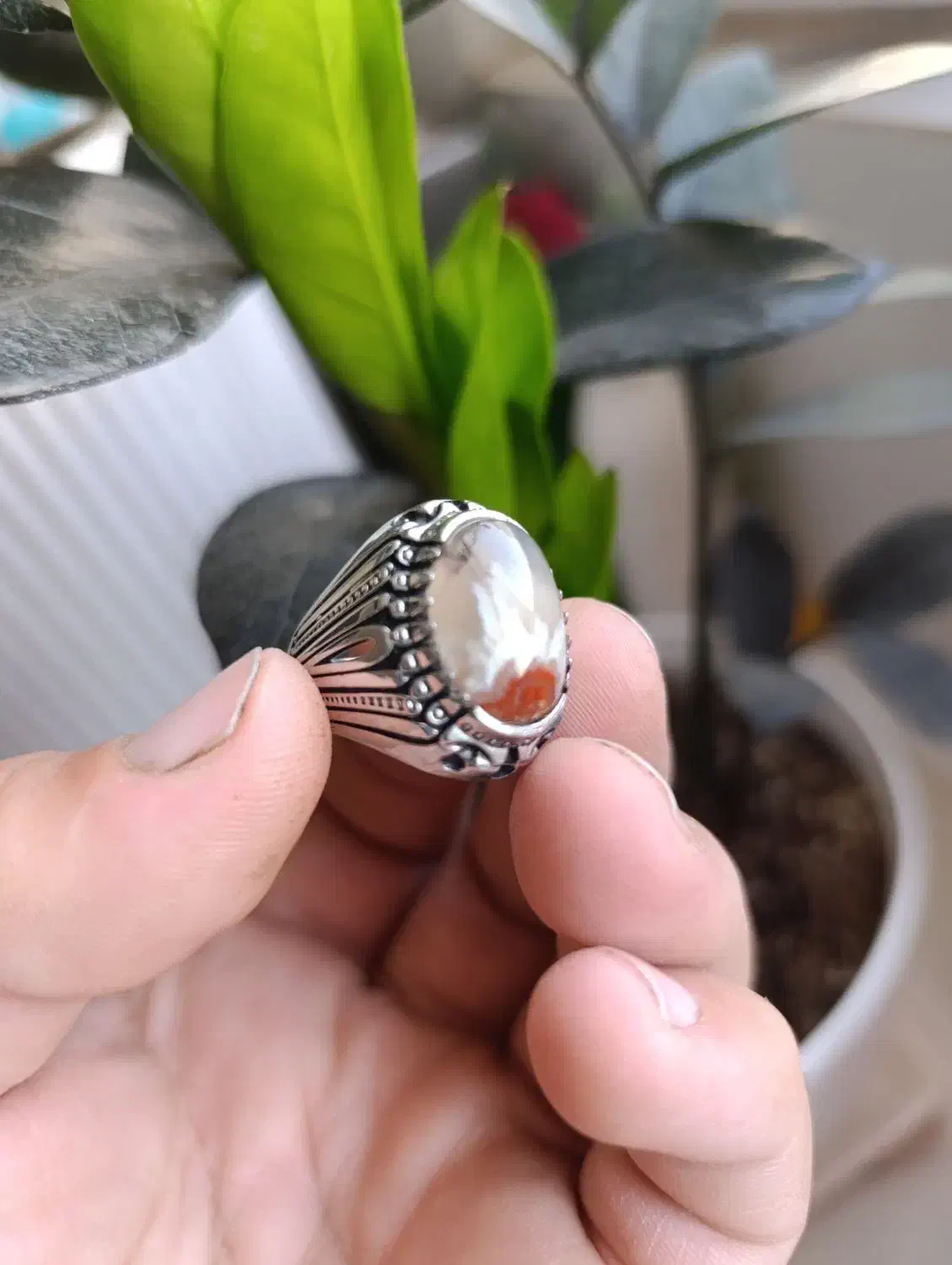 انگشتر شجر|جواهرات|پیشوا, |دیوار