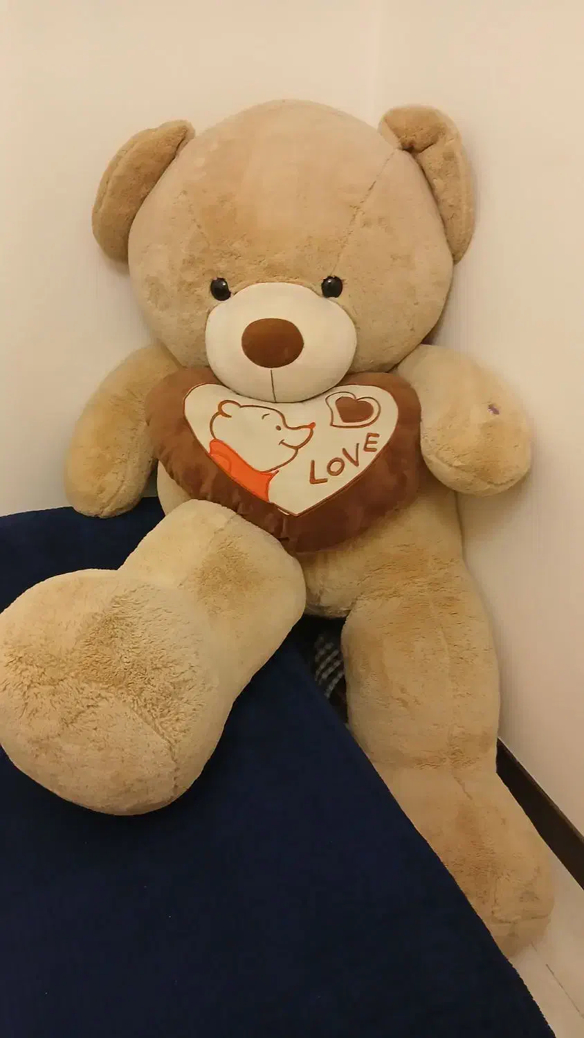 خرس بزرگ|اسباببازی بچه|اندیشه, اندیشه فاز ۱|دیوار